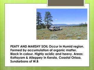 PEATY AND MARSHY SOIL Occur in Humid region.
Formed by accumulation of organic matter.
Black in colour. Highly acidic and heavy. Areas:
Kottayam & Alleppey in Kerala, Coastal Orissa,
Sundarbans of W.B
 