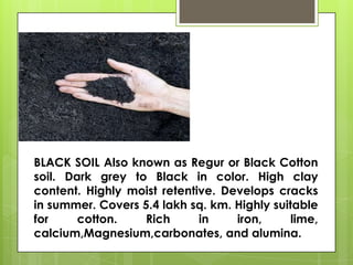 BLACK SOIL Also known as Regur or Black Cotton
soil. Dark grey to Black in color. High clay
content. Highly moist retentive. Develops cracks
in summer. Covers 5.4 lakh sq. km. Highly suitable
for cotton. Rich in iron, lime,
calcium,Magnesium,carbonates, and alumina.
 