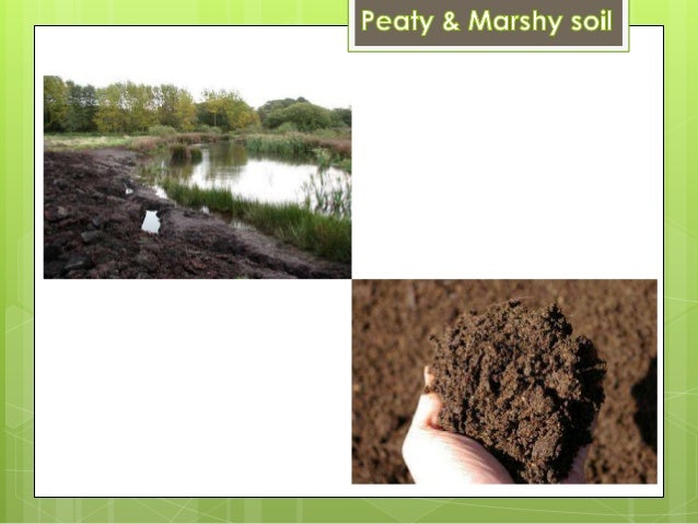 Types of Soils in India | இந்தியாவின் மண் வகைகள்_120.1