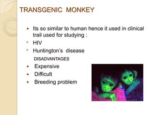 TRANSGENIC MONKEY
 Its so similar to human hence it used in clinical
trail used for studying :
º HIV
º Huntington‟s disease
DISADVANTAGES
 Expensive
 Difficult
 Breeding problem
 