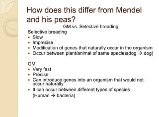 How does this differ from Mendel
and his peas?
GM vs. Selective breading
Selective breading
 Slow
 Imprecise
 Modification of genes that naturally occur in the organism
 Occur between plant/animal of same species(dog  dog)
GM
 Very fast
 Precise
 Can introduce genes into an organism that would not
occur naturally
 It can occur between different types of species
(Human  bacteria)
 