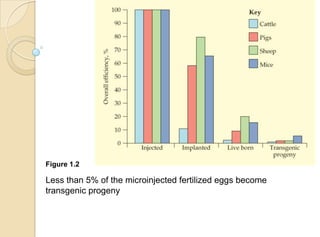 Figure 1.2
Less than 5% of the microinjected fertilized eggs become
transgenic progeny
 