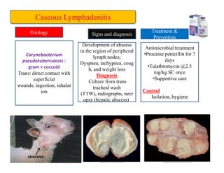 Important goat diseases and their management Dr.S.A.Khan.pdf