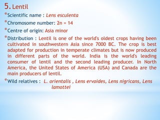 Lens Genus genetics and plant breeding | PPTX