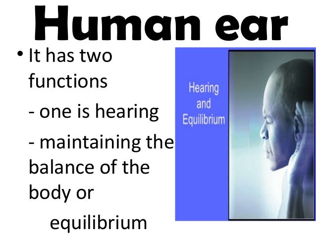 ppt gr 3 ears