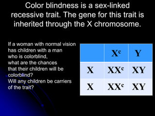 Color blindness is a sex-linked
recessive trait. The gene for this trait is
inherited through the X chromosome.
If a woman with normal vision
has children with a man
who is colorblind,
what are the chances
that their children will be
colorblind?
Will any children be carriers
of the trait?
Xc Y
X
X
XXc
XXc
XY
XY
 
