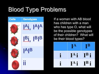 Blood Type Problems
If a woman with AB blood
has children with a man
who has type O, what will
be the possible genotypes
of their children? What will
be their blood types?
IA IB
i
i
IA i
IA i
IB i
IB i
 