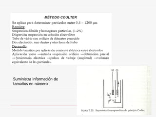 Suministra información de
tamaños en número
 