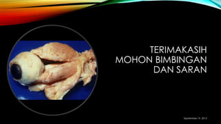 TERIMAKASIH
MOHON BIMBINGAN
DAN SARAN
September 19, 2013
 