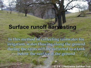 Surface runoff harvesting
 