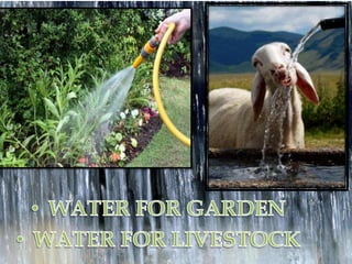 rainwater harvesting