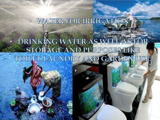 rainwater harvesting