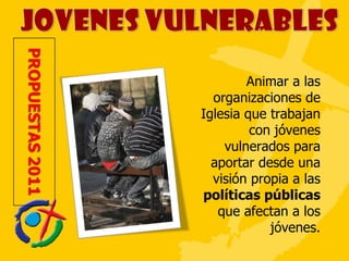 Animar a las organizaciones de Iglesia que trabajan con jóvenes vulnerados para aportar desde una visión propia a las  políticas públicas  que afectan a los jóvenes. 