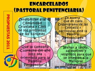 Sensibilizar a la Comunidad Cristiana y Civil de los problemas de las cárceles Se espera  que en cada Organigrama de las Diócesis y parroquias esté la Pastoral Penitenciaria Que la campaña Cuaresma del año 2012 sea orientada para la Pastoral Penitenciaria Invitar a laicos, sacerdotes y religiosos para que se integren a la Pastoral Penitenciaria 