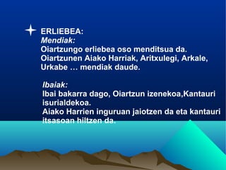 ERLIEBEA:
Mendiak:
Oiartzungo erliebea oso menditsua da.
Oiartzunen Aiako Harriak, Aritxulegi, Arkale,
Urkabe … mendiak daude.

Ibaiak:
Ibai bakarra dago, Oiartzun izenekoa,Kantauri
isurialdekoa.
Aiako Harrien inguruan jaiotzen da eta kantauri
itsasoan hiltzen da.
 
