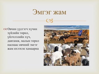 
Эмгэг жам
 Өвчин үүсгэгч хүчин
зүйлийн төрөл,
үйлчлэлийн хүч,
давтамж, малын төрөл
наснаас өвчний эмгэг
жам ихээхэн хамаарна
 