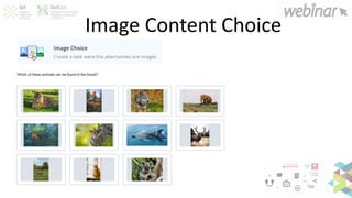 Image Content Choice
 
