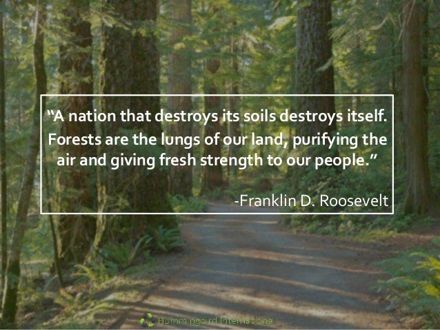 6 Thought Provoking Eco-Friendly Quotes