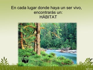 En cada lugar donde haya un ser vivo, encontrarás un: HÁBITAT 