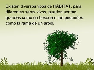 Existen diversos tipos de HÁBITAT, para diferentes seres vivos, pueden ser tan grandes como un bosque o tan pequeños como la rama de un árbol. 