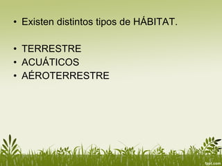 Existen distintos tipos de HÁBITAT. TERRESTRE ACUÁTICOS AÉROTERRESTRE 