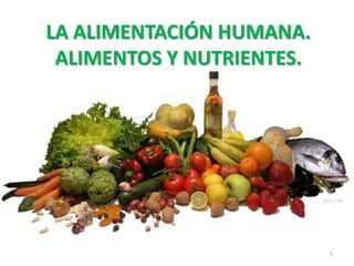 LA ALIMENTACIÓN HUMANA.
 ALIMENTOS Y NUTRIENTES.




                           1
 