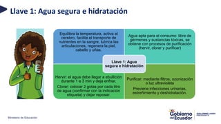 Ministerio de Educación
Equilibra la temperatura, activa el
cerebro, facilita el transporte de
nutrientes en la sangre, lubrica las
articulaciones, regenera la piel,
cabello y uñas.
Agua apta para el consumo: libre de
gérmenes y sustancias tóxicas, se
obtiene con procesos de purificación
(hervir, clorar y purificar)
Hervir: el agua debe llegar a ebullición
durante 1 a 3 min y deja enfriar.
Clorar: colocar 2 gotas por cada litro
de agua (confirmar con la indicación
etiqueta) y dejar reposar.
Purificar: mediante filtros, ozonización
o luz ultravioleta
Previene infecciones urinarias,
estreñimiento y deshidratación.
Llave 1: Agua
segura e hidratación
Llave 1: Agua segura e hidratación
 