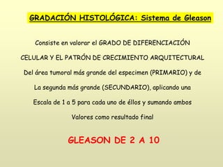 GRADACIÓN HISTOLÓGICA: Sistema de Gleason
Consiste en valorar el GRADO DE DIFERENCIACIÓN
CELULAR Y EL PATRÓN DE CRECIMIENTO ARQUITECTURAL
Del área tumoral más grande del especimen (PRIMARIO) y de
La segunda más grande (SECUNDARIO), aplicando una
Escala de 1 a 5 para cada uno de éllos y sumando ambos
Valores como resultado final
GLEASON DE 2 A 10
 