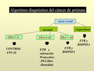 tacto rectal
normal sospechoso
ETR y
BIOPSIA
PSA < 4 PSA 4-10 PSA > 10
ETR y
BIOPSIA
CONTROL
ANUAL
ETR y
valoración
Protocolos:
-PSA libre
-Densidad
Algoritmo diagnóstico del cáncer de próstata
 