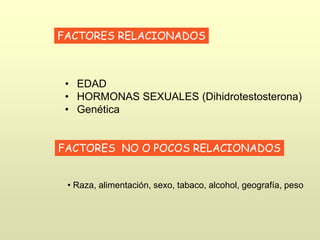 FACTORES RELACIONADOS
• EDAD
• HORMONAS SEXUALES (Dihidrotestosterona)
• Genética
FACTORES NO O POCOS RELACIONADOS
• Raza, alimentación, sexo, tabaco, alcohol, geografía, peso
 