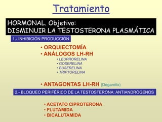 • ORQUIECTOMÍA
• ANÁLOGOS LH-RH
• LEUPRORELINA
• GOSERELINA
• BUSERELINA
• TRIPTORELINA
• ANTAGONTAS LH-RH (Degarelix)
•
Tratamiento
HORMONAL. Objetivo:
DISMINUIR LA TESTOSTERONA PLASMÁTICA
1.- INHIBICIÓN PRODUCCIÓN
2.- BLOQUEO PERIFÉRICO DE LA TESTOSTERONA: ANTIANDRÓGENOS
• ACETATO CIPROTERONA
• FLUTAMIDA
• BICALUTAMIDA
 