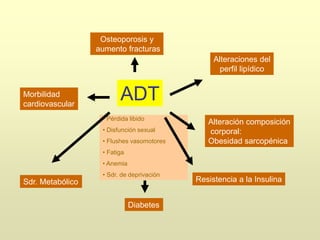 ADT
Osteoporosis y
aumento fracturas
Alteración composición
corporal:
Obesidad sarcopénica
Resistencia a la Insulina
Diabetes
Sdr. Metabólico
Morbilidad
cardiovascular
Alteraciones del
perfil lipídico
• Pérdida libido
• Disfunción sexual
• Flushes vasomotores
• Fatiga
• Anemia
• Sdr. de deprivación
 