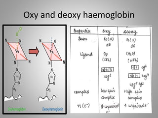 Oxy and deoxy haemoglobin
 