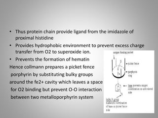 • Thus protein chain provide ligand from the imidazole of
proximal histidine
• Provides hydrophobic environment to prevent excess charge
transfer from O2 to superoxide ion.
• Prevents the formation of hematin
Hence collmann prepares a picket fence
porphyrin by substituting bulky groups
around the fe2+ cavity which leaves a space
for O2 binding but prevent O-O interaction
between two metalloporphyrin system
 