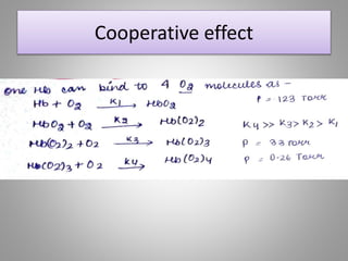Cooperative effect
 