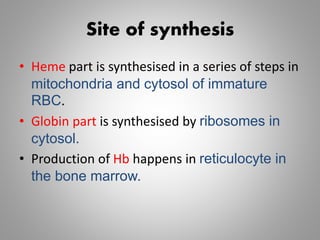 Site of synthesis
• Heme part is synthesised in a series of steps in
mitochondria and cytosol of immature
RBC.
• Globin part is synthesised by ribosomes in
cytosol.
• Production of Hb happens in reticulocyte in
the bone marrow.
 