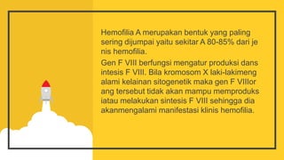 Hemofilia A merupakan bentuk yang paling
sering dijumpai yaitu sekitar A 80-85% dari je
nis hemofilia.
Gen F VIII berfungsi mengatur produksi dans
intesis F VIII. Bila kromosom X laki-lakimeng
alami kelainan sitogenetik maka gen F VIIIor
ang tersebut tidak akan mampu memproduks
iatau melakukan sintesis F VIII sehingga dia
akanmengalami manifestasi klinis hemofilia.
 