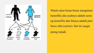 Wanita akan benar-benar mengalami
hemofilia jika ayahnya adalah seora
ng hemofilia dan ibunya adalah pem
bawa sifat (carrier). Hal ini sangat
jarang terjadi.
 