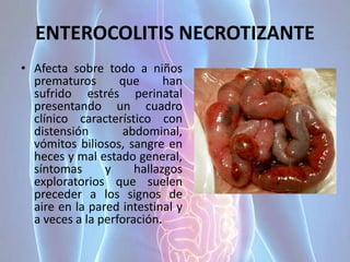 ENTEROCOLITIS NECROTIZANTE
• Afecta sobre todo a niños
prematuros que han
sufrido estrés perinatal
presentando un cuadro
clínico característico con
distensión abdominal,
vómitos biliosos, sangre en
heces y mal estado general,
síntomas y hallazgos
exploratorios que suelen
preceder a los signos de
aire en la pared intestinal y
a veces a la perforación.
 