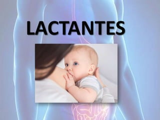 LACTANTES
 