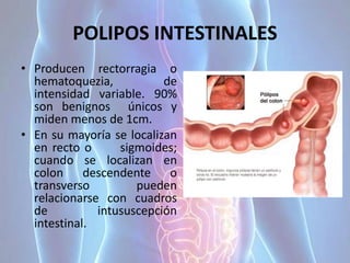 POLIPOS INTESTINALES
• Producen rectorragia o
hematoquezia, de
intensidad variable. 90%
son benignos únicos y
miden menos de 1cm.
• En su mayoría se localizan
en recto o sigmoides;
cuando se localizan en
colon descendente o
transverso pueden
relacionarse con cuadros
de intususcepción
intestinal.
 
