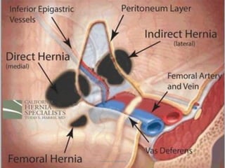 University of Alexandria
 