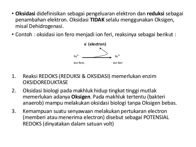 Bioenergenetika Oksidasi Biologis Rantai Respiratorik