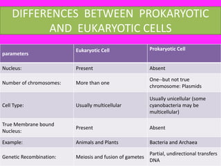 DIFFERENCES BETWEEN PROKARYOTIC
AND EUKARYOTIC CELLS
parameters
Eukaryotic Cell Prokaryotic Cell
Nucleus: Present Absent
Number of chromosomes: More than one
One--but not true
chromosome: Plasmids
Cell Type: Usually multicellular
Usually unicellular (some
cyanobacteria may be
multicellular)
True Membrane bound
Nucleus:
Present Absent
Example: Animals and Plants Bacteria and Archaea
Genetic Recombination: Meiosis and fusion of gametes
Partial, undirectional transfers
DNA
 