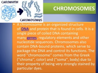 CHROMOSOMES
• A chromosome is an organized structure
of DNA and protein that is found in cells. It is a
single piece of coiled DNA containing
many genes, regulatory elements and other
nucleotide sequences. Chromosomes also
contain DNA-bound proteins, which serve to
package the DNA and control its functions. The
word ''chromosome'' comes from the Greek
(''chroma'', color) and (''soma'', body) due to
their property of being very strongly stained by
particular dyes.
 