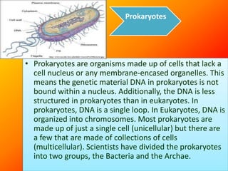 Prokaryotes
• Prokaryotes are organisms made up of cells that lack a
cell nucleus or any membrane-encased organelles. This
means the genetic material DNA in prokaryotes is not
bound within a nucleus. Additionally, the DNA is less
structured in prokaryotes than in eukaryotes. In
prokaryotes, DNA is a single loop. In Eukaryotes, DNA is
organized into chromosomes. Most prokaryotes are
made up of just a single cell (unicellular) but there are
a few that are made of collections of cells
(multicellular). Scientists have divided the prokaryotes
into two groups, the Bacteria and the Archae.
 