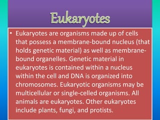 • Eukaryotes are organisms made up of cells
that possess a membrane-bound nucleus (that
holds genetic material) as well as membrane-
bound organelles. Genetic material in
eukaryotes is contained within a nucleus
within the cell and DNA is organized into
chromosomes. Eukaryotic organisms may be
multicellular or single-celled organisms. All
animals are eukaryotes. Other eukaryotes
include plants, fungi, and protists.
 