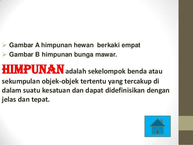 990 Gambar Himpunan Hewan Berkaki Empat HD Terbaru
