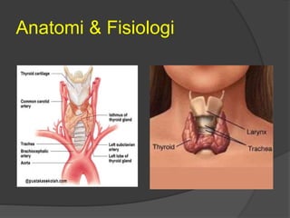 Anatomi & Fisiologi
 