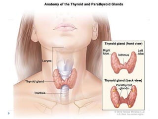 Ppt hipotiroid dan hipertiroid